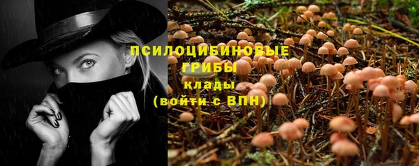 прущая мука Медвежьегорск