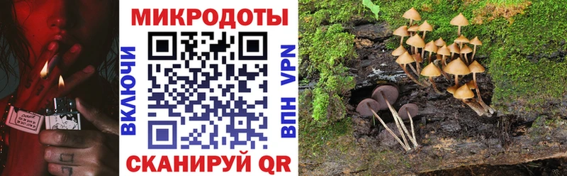 Купить  Хилок  Галлюциногенные грибы ЛСД 